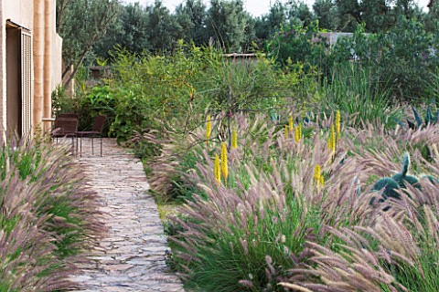 DESIGNERS_ERIC_OSSART_AND_ARNAUD_MAURIERES__MOROCCO_DAR_IGDAD__DRY_GARDEN_WITH_BORDER_OF_CACTUS__PEN