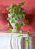 DESIGNER CLARE MATTHEWS: HOUSEPLANT PROJECT - WHITEWASHED CONTAINERS ON MANTELPIECE PLANTED WITH VARIEGATED IVY