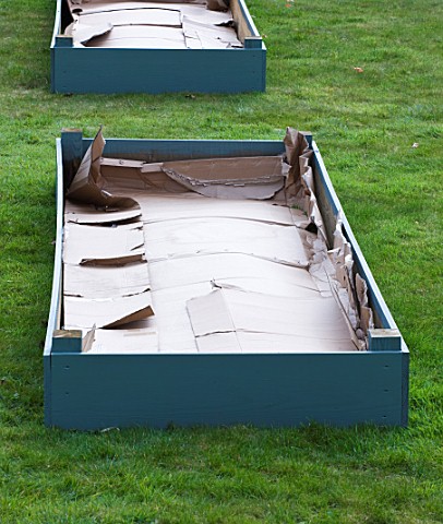 DESIGNER_CLARE_MATTHEWS_FRUIT_GARDEN_PROJECT__DEEP_MULCHED_RAISED_BED__CARDBOARD_USED_TO_LINE_THE_BE
