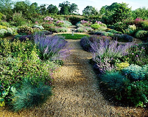 GRAVEL_PATH_EDGED_BY_PEROVSKIA_ATRIPLICIFOLIA_LEADS_TO_SUNDIAL_AND_CAMOMILE_LAWN_STICKY_WICKET__DORS