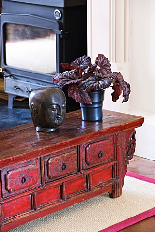 DESIGNER_CLARE_MATTHEWS_HOUSEPLANT_PROJECT__BEGONIA_IN_BLACK_CONTAINER_IN_LIVING_ROOM