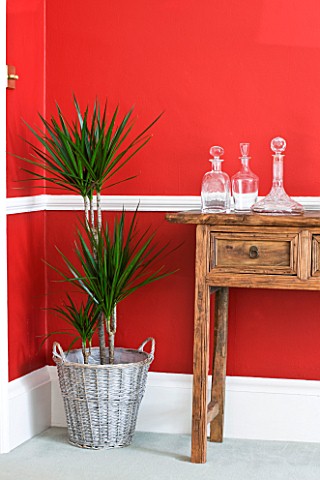 DESIGNER_CLARE_MATTHEWS_HOUSEPLANT_PROJECT__WICKER_CONTAINER_IN_LIVING_ROOM_PLANTED_WITH_DRACAENA_MA