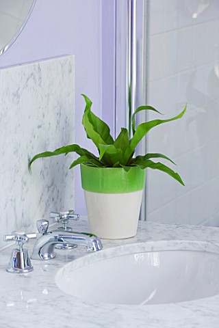 DESIGNER_CLARE_MATTHEWS_HOUSEPLANT_PROJECT__GREEN_AND_CREAM_GLAZED_CONTAINER_IN_BATHROOM_PLANTED_WIT