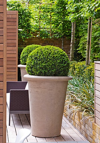 ROOF_GARDEN_DESIGNED_BY_STEPHEN_WOODHAMS__LONDON_TERRACE_WOODEN_TRELLIS_CERAMIC_CONTAINERS_BOX_BALLS