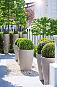 ROOF GARDEN DESIGNED BY STEPHEN WOODHAMS  LONDON: FRONT, GARDEN, GRAVEL, TERRACE, CERAMIC, CONTAINERS, CLIPPED, TOPIARY, BOX, BUXUS, HEDGE, HEDGING, PLEACHED