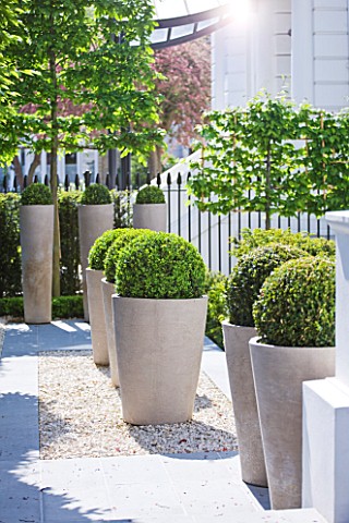 ROOF_GARDEN_DESIGNED_BY_STEPHEN_WOODHAMS__LONDON_FRONT_GARDEN_GRAVEL_TERRACE_CERAMIC_CONTAINERS_CLIP
