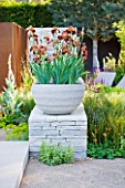 CHELSEA FLOWER SHOW 2010: DAILY TELEGRAPH GARDEN DESIGNED BY ANDY STURGEON - DRYSTONE WALLING WITH CLAY CONTAINER BY ATELIER VIERKANT PLANTED WITH IRIS ACTION FRONT