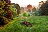 MOORS MEADOW GARDEN AND NURSERY  HEREFORDSHIRE: GRASS PATH THROUGH LONG MEADOW GRASS AT DAWN