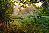 MOORS MEADOW GARDEN AND NURSERY  HEREFORDSHIRE: THE GARDEN AT DAWN