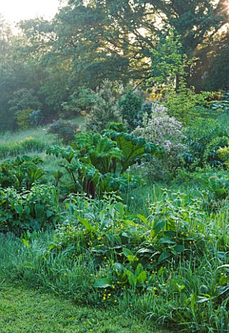 MOORS_MEADOW_GARDEN_AND_NURSERY__HEREFORDSHIRE