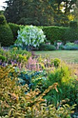 NARBOROUGH HALL GARDENS  NORFOLK: A BEAUTIFUL WHITE WISTERIA BESIDE THE LAWN AT DAWN