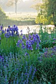 NARBOROUGH HALL GARDENS  NORFOLK: THE BLUE GARDEN AT DAWN BESIDE THE RIVER NAR WITH IRIS SIBIRICA  NEPETA AND GERANIUMS
