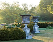 NARBOROUGH HALL GARDENS  NORFOLK: YEW HEDGES AND HUGE STONE URNS BESIDE THE LAWN AT DAWN