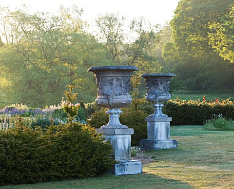 NARBOROUGH_HALL_GARDENS__NORFOLK_YEW_HEDGES_AND_HUGE_STONE_URNS_BESIDE_THE_LAWN_AT_DAWN