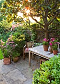 DESIGNER BUTTER WAKEFIELD  LONDON : SMALL TOWN GARDEN WITH LAWN  YORK STONE TERRACE AND TABLE AND CHAIRS. ON RIGHT IS MAGNOLIA GRANDIFLORA