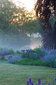 NARBOROUGH HALL  NORFOLK: DAWN LIGHT ON THE BLUE BORDER BESIDE THE RIVER NAR WITH NEPETA AND IRIS