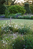 NARBOROUGH HALL  NORFOLK: DAWN LIGHT ON THE GRAVEL GARDEN IN FRONT OF THE HOUSE WITH OXE-EYE DAISIES