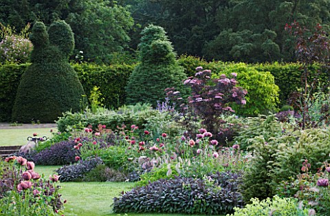 NARBOROUGH_HALL__NORFOLK_THE_PLUM_AND_CHOCOLATE_GARDEN_WITH_TOPIARY__POPPIES_AND_SAGE