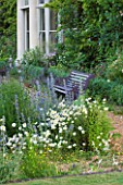 NARBOROUGH HALL  NORFOLK: THE GRAVEL GARDEN IN FRONT OF THE HALL WITH BENCH/ SEAT AND OXE-EYE DAISIES