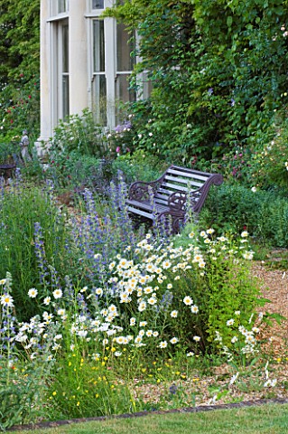 NARBOROUGH_HALL__NORFOLK_THE_GRAVEL_GARDEN_IN_FRONT_OF_THE_HALL_WITH_BENCH_SEAT_AND_OXEEYE_DAISIES