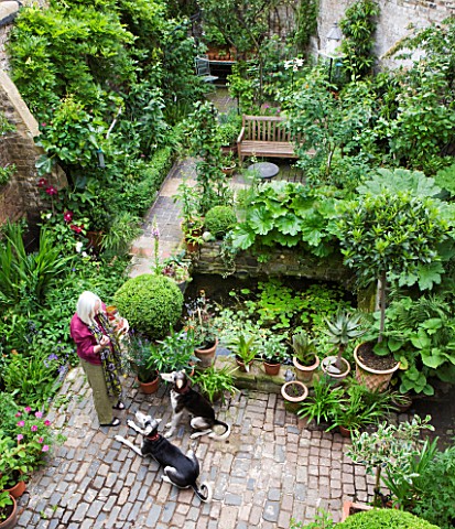 GARDEN_OF_JOHN_AND_SUE_MONKS__LONDON_SUE_MONKS_WITH_HER_DOGS_IN_THE_GARDEN