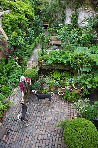 GARDEN_OF_JOHN_AND_SUE_MONKS__LONDON_SUE_MONKS_IN_HER_GARDEN_WITH_HER_DOGS