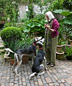 GARDEN OF JOHN AND SUE MONKS  LONDON: SUE MONKS IN HER GARDEN WITH HER DOGS
