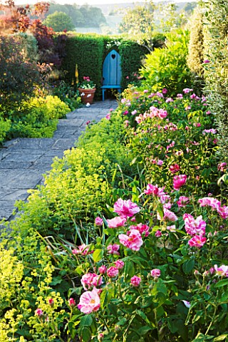 SANDHILL_FARM_HOUSE__HAMPSHIRE__DESIGNER_ROSEMARY_ALEXANDER_PATH_TO_BLUE_WOODEN_SEAT_WITH_ALCHEMILLA