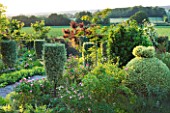 SANDHILL FARM HOUSE  HAMPSHIRE - DESIGNER ROSEMARY ALEXANDER: PATH WITH ALCHEMILLA MOLLIS  ROSA GALLICA VERSICOLOR AND VARIEGATED RHAMNUS WITH VIEWS OUT TO COUNTRYSIDE