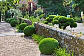 SANDHILL FARM HOUSE  HAMPSHIRE - DESIGNER ROSEMARY ALEXANDER - WIDE GRAVEL PATH EDGED WITH CLIPPED BOX LEADING TO A METAL SEAT IN THE FRONT GARDEN - CLOUD HEDGING