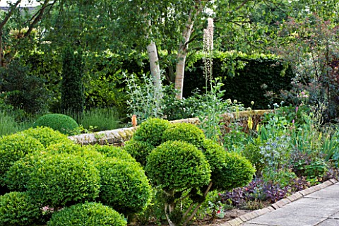 SANDHILL_FARM_HOUSE__HAMPSHIRE__DESIGNER_ROSEMARY_ALEXANDER_THE_FRONT_GARDEN__CLOUD_HEDGING_AND_BIRC