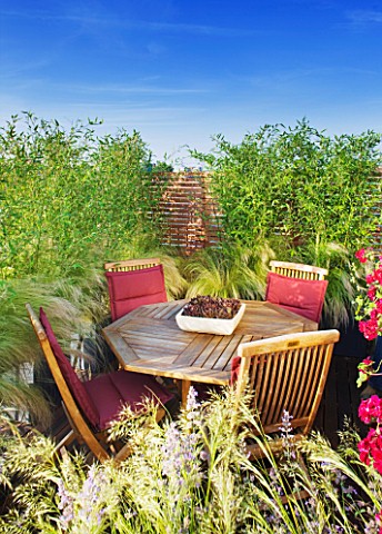LONDON_ROOFTOP_GARDEN_WOODEN_TABLE_AND_CHAIRS_ON_WOODEN_DECKING_SURROUNDED_BY_STIPA_TENUISSIMA_AND_P