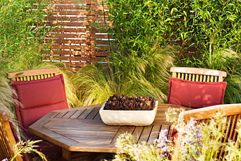 LONDON_ROOFTOP_GARDEN_WOODEN_TABLE_AND_CHAIRS_ON_WOODEN_DECKING_SURROUNDED_BY_STIPA_TENUISSIMA__PHYL