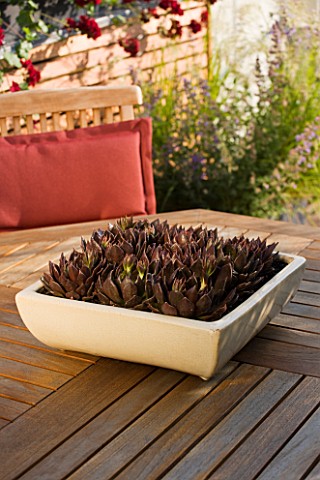 LONDON_ROOFTOP_GARDEN_WOODEN_TABLE_AND_CHAIRS_ON_WOODEN_DECKING_WITH_CONTAINER_FILLED_WITH_ECHEVERIA