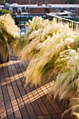 LONDON ROOFTOP GARDEN: WOODEN DECKING AND METAL CONTAINERS PLANTED WITH STIPA TENUISSIMA