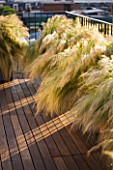 LONDON ROOFTOP GARDEN: WOODEN DECKING AND METAL CONTAINERS PLANTED WITH STIPA TENUISSIMA