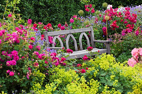 RHS_GARDEN__ROSEMOOR__DEVON_A_PLACE_TO_SIT__WOODEN_BENCH_SEAT_SURROUNDED_BY_RED_ROSES_AND_ALCHEMILLA