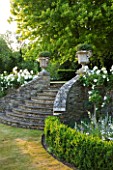 PRIVATE GARDEN, COTSWOLDS: DESIGNER ALISON HENRY - STONE STEPS WITH URNS, CONTAINERS, BOX EDGING AND ICEBERG ROSES - ORNAMANET, GARDEN, SUMMER, CLASSIC, ROSE, WHITE