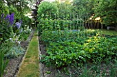 DESIGNER ALISON HENRY - PRIVATE GARDEN, COTSWOLDS: THE VEGETABLE GARDEN IN JULY. PRODUCTIVE, FOOD, ENGLISH GARDEN, CLASSIC, COUNTRY, POTAGER, VEGETABLES