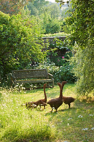 DESIGNER_ALISON_HENRY__PRIVATE_GARDEN_COTSWOLDS_MEADOW_AND_GRASS_PATH_WITH_WOODEN_BENCH_AND_WILLOW_G
