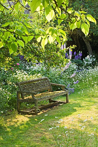 DESIGNER_ALISON_HENRY__PRIVATE_GARDEN_COTSWOLDS_MEADOW_AND_GRASS_PATH_WITH_OLD_WOODEN_BENCH__SEAT__O