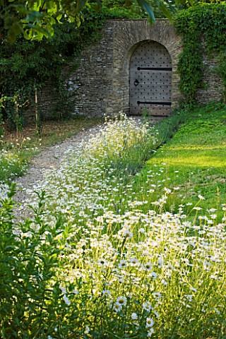 DESIGNER_ALISON_HENRY__PRIVATE_GARDEN_COTSWOLDS_MEADOW_WITH_OXE_EYE_DAISIES_PATH_AND_WOODEN_DOOR_IN_
