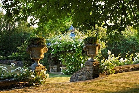 DESIGNER_ALISON_HENRY__PRIVATE_GARDEN_COTSWOLDS_LAWN_AND_WALL_WITH_STONE_URNS__CONTAINERS_WITH_HEBE_