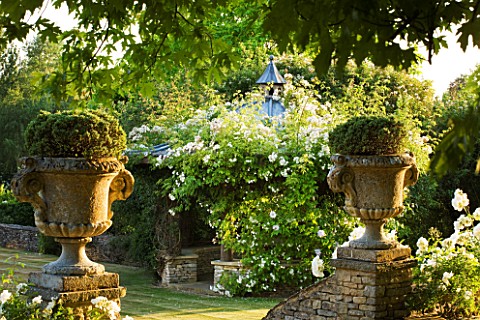 DESIGNER_ALISON_HENRY__PRIVATE_GARDEN_COTSWOLDS_WALL_WITH_STONE_URNS__CONTAINERS_WITH_HEBE__WHITE_IC