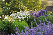 DESIGNER ALISON HENRY - PRIVATE GARDEN, COTSWOLDS: BLUE AND WHITE / PURPLE AND WHITE BORDER WITH NEPETA AND DELPHINIUMS - ENGLISH GARDEN, CLASSIC, COUNTRY