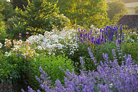 DESIGNER_ALISON_HENRY__PRIVATE_GARDEN_COTSWOLDS_BLUE_AND_WHITE__PURPLE_AND_WHITE_BORDER_WITH_NEPETA_