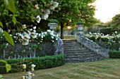 DESIGNER ALISON HENRY, PRIVATE GARDEN, COTSWOLDS - LAWN, STONE STEPS WITH URNS, CONTAINERS, BOX EDGING AND ICEBERG ROSES - ORNAMANET, GARDEN, SUMMER, CLASSIC, ROSE, WHITE