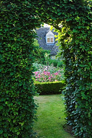 DESIGNER_ALISON_HENRY__PRIVATE_GARDEN_COTSWOLDS_VIEW_THROUGH_HEDGE_TO_BOX_EDGED_BEDS_WITH_ROSES__ROS