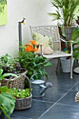 DESIGNER CLARE MATTHEWS: CONSERVATORY WITH WICKER BASKETS/ CONTAINERS AND A METAL CHAIR
