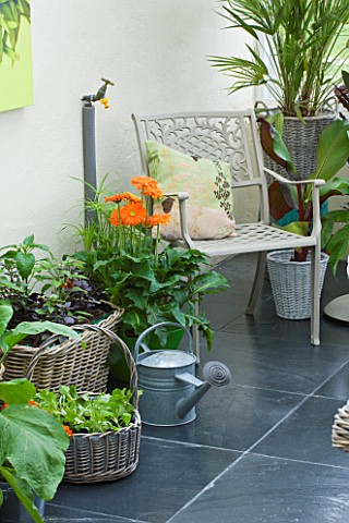 DESIGNER_CLARE_MATTHEWS_CONSERVATORY_WITH_WICKER_BASKETS_CONTAINERS_AND_A_METAL_CHAIR